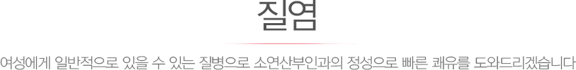 질염